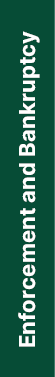 Enforcement and Bankruptcy