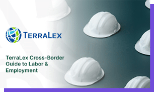 Logotipo da TerraLex com capacetes de seguran a brancos e texto sobre guia internacional para trabalho e emprego. Yapay zeka taraf ndan olu turulan a  klama