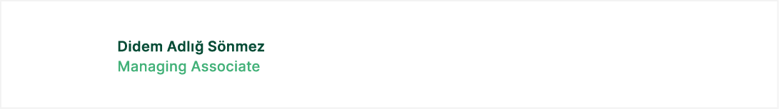 Didem Adl  S nmez Managing Associate