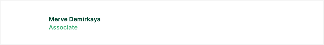 Merve Demirkaya Associate