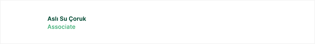 Asl Su  oruk Associate