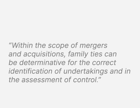 “Within the scope of mergers and acquisitions, family ties can be determinative for the correct identification of und...