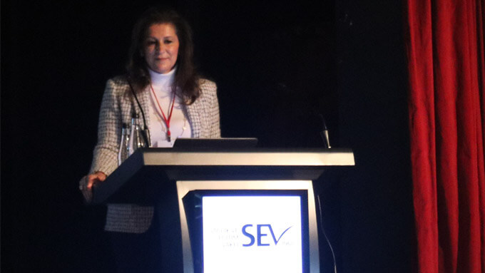 Att. Piraye Erdem is appointed as Chairperson of the Board of SEV